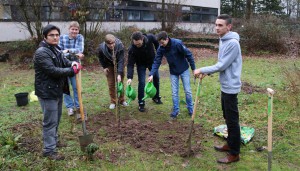 Baumpflanz-Aktion der MSS13 im Schulgarten.