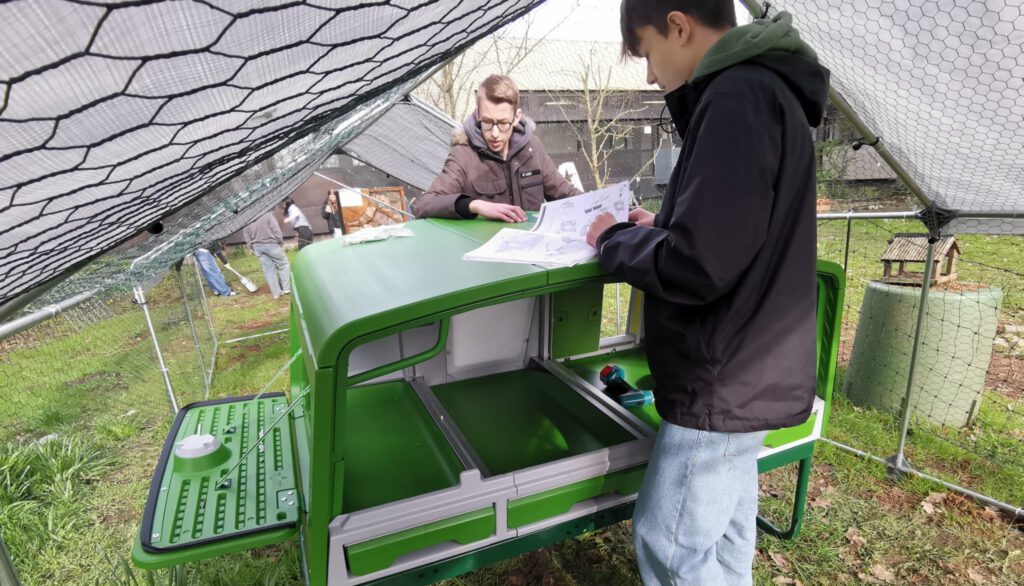 Die Hühner können kommen, die Bienen sind schon da!